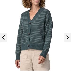 Patagonia Recycled Wool Green Striped Cardigan